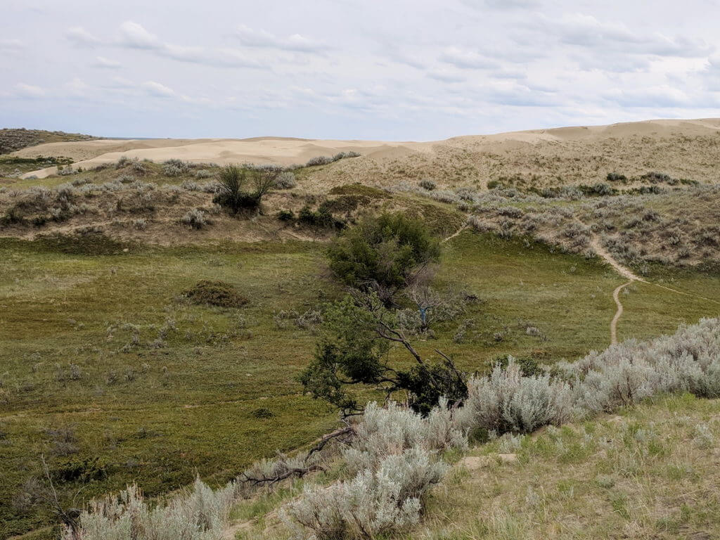 sand dunes, great sand hills ecological reserve, saskatchewan