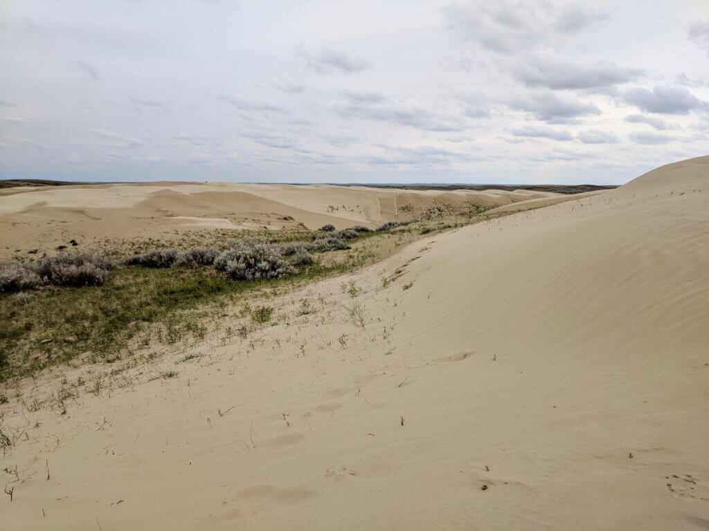 sand dunes, great sand hills ecological reserve, saskatchewan