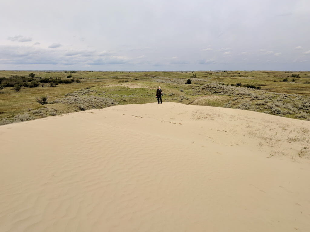 sand dunes, great sand hills ecological reserve, saskatchewan