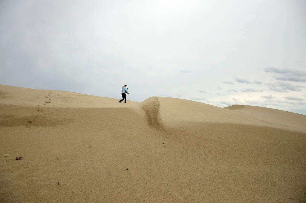 sand dunes, great sand hills ecological reserve, saskatchewan