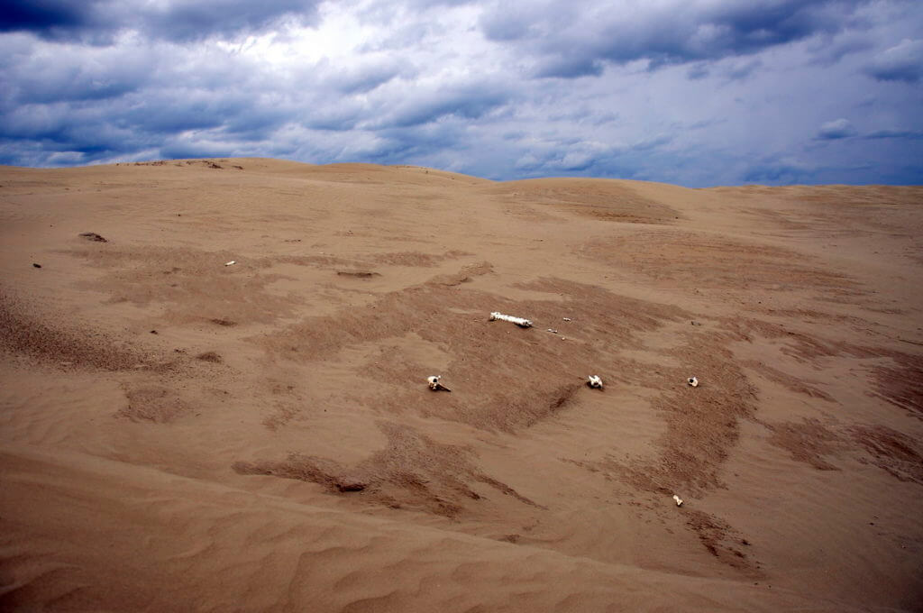 sand dunes, great sand hills ecological reserve, saskatchewan