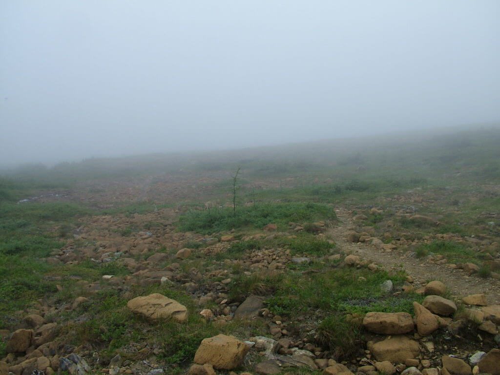 green gardens trail, gros morne national park, newfoundland