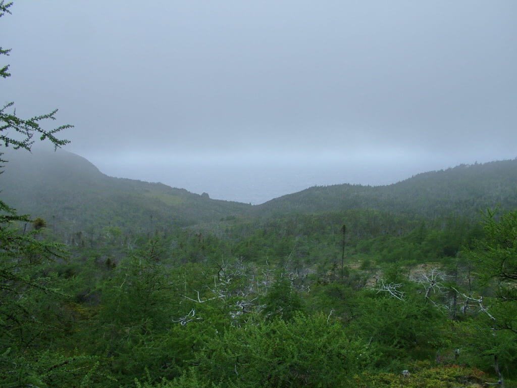 green gardens trail, gros morne national park, newfoundland 