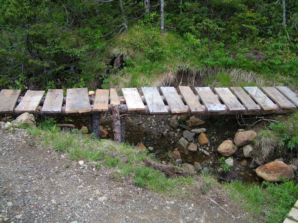 rudimentary bridge, green gardens trail, gros morne national park, newfoundland