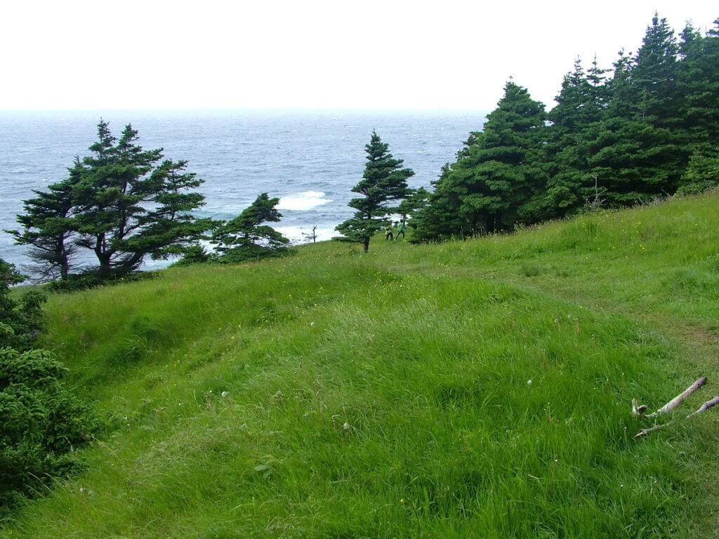 green gardens trail, gros morne national park, newfoundland