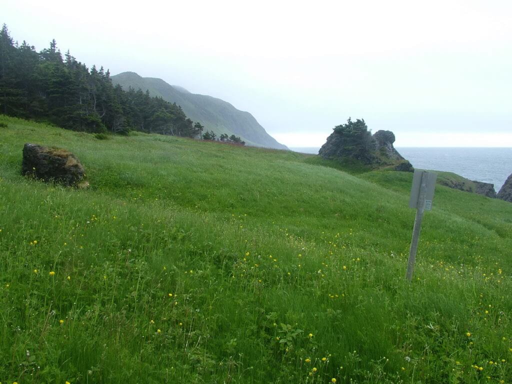green gardens trail, gros morne national park, newfoundland