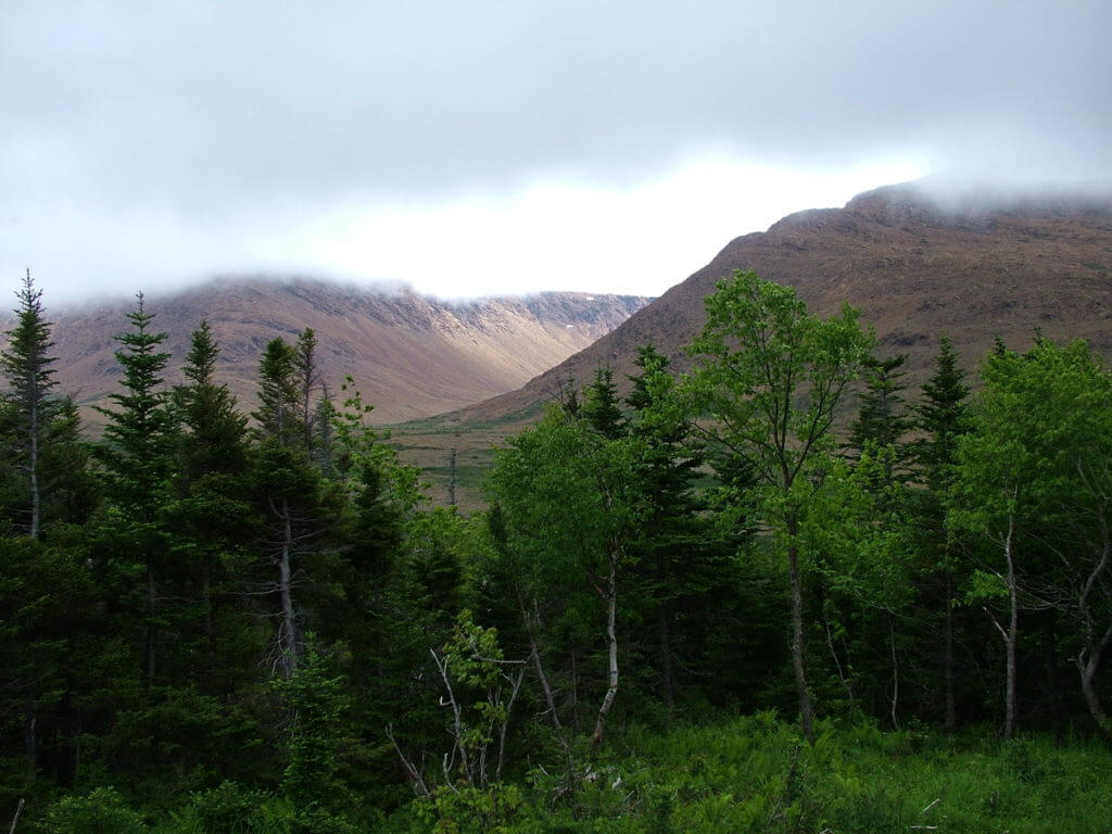 the tablelands, gros morne national park, newfoundland