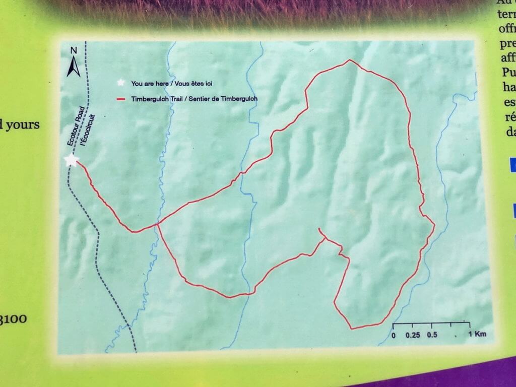 Image of the Timbergulch trail map in grasslands national park, saskatchewan, canada