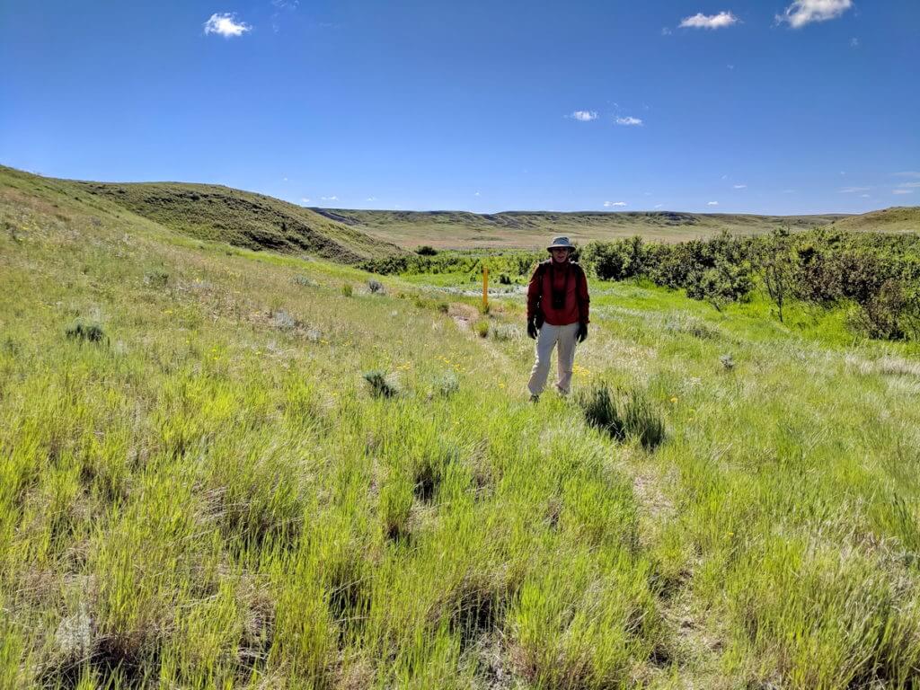 Image of bob hiking on the timbergulch trail iin grasslands national park, saskatchewan, canada