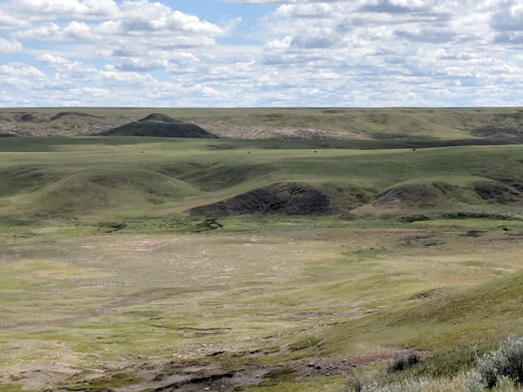 Image of the view across timbergulch coulee along the timbergulch trail, grasslands national park, saskatchewan