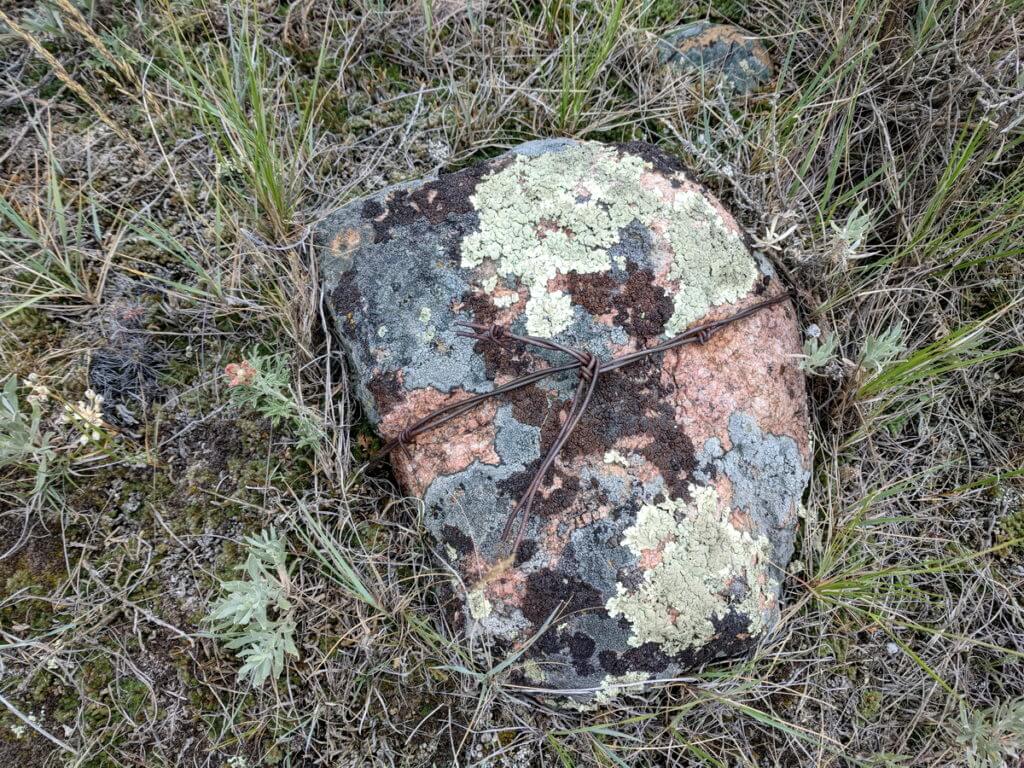 Image of lichen-encrusted rock with old fence wire tied around it on the timbergulch trail, grasslands national park, saskatchewan