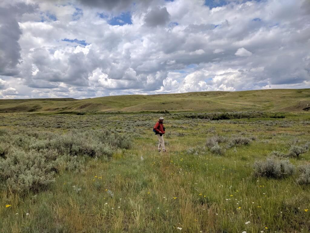 Image of bob hiking in the police coulee along the timbergulch trail, grasslands national park, saskatchewan