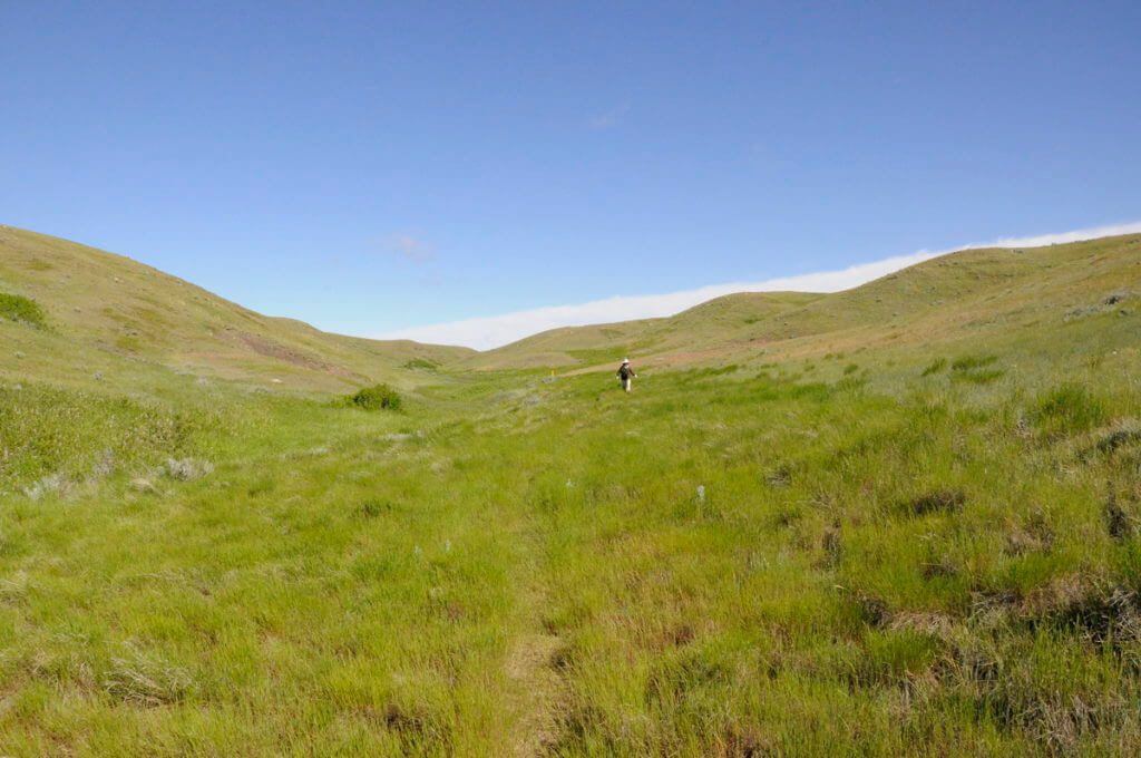 Image of jean hiking along the timbergulch trail, grasslands national park, saskatchewan