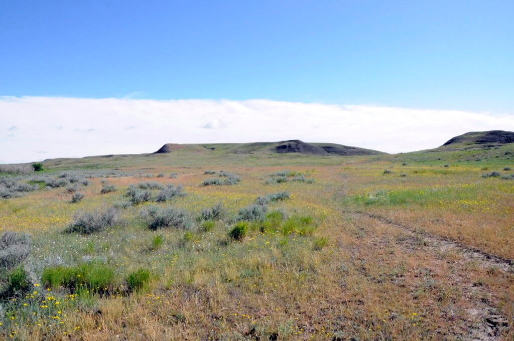 Image of the coulee along the timbergulch trail, grasslands national park, saskatchewan