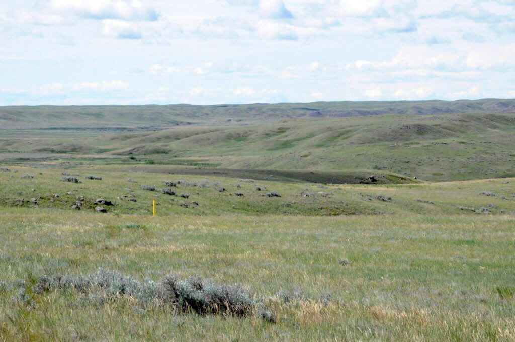 Image near the timbergulch coulee along the timbergulch trail, grasslands national park, saskatchewan