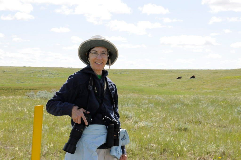 Image of jean on timbergulch trail with bison grazing behind her, grasslands national park, saskatchewan