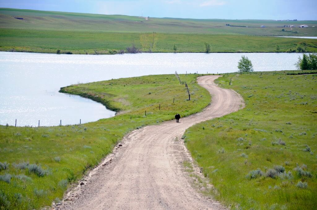 Image of sand lake near val marie, saskatchewan