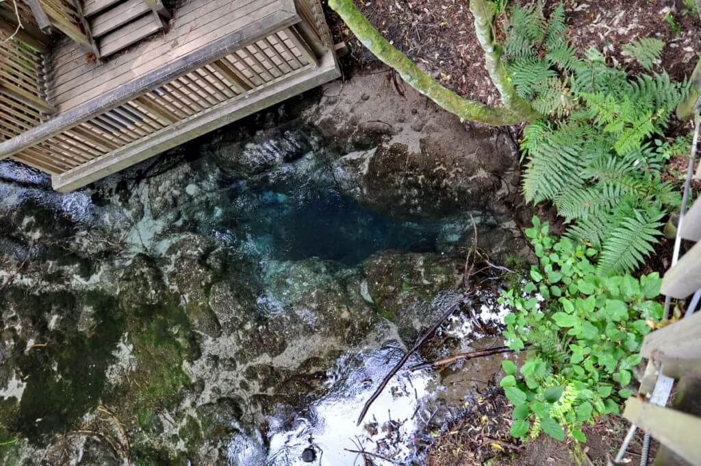 the headspring hangarua, Hamurana Springs Recreation Reserve, Rotorua, New Zealand