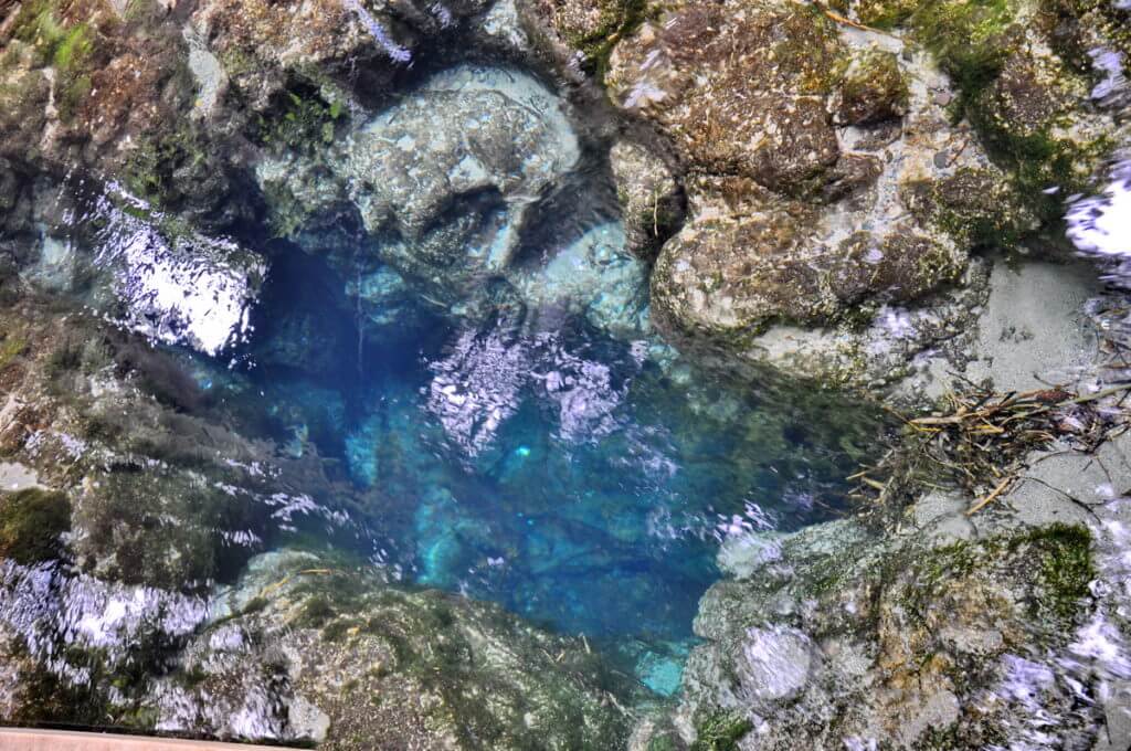 the headspring hangarua, Hamurana Springs Recreation Reserve, Rotorua, New Zealand