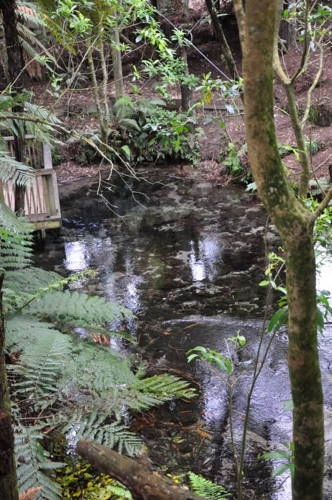the headspring hangarua, Hamurana Springs Recreation Reserve, Rotorua, New Zealand