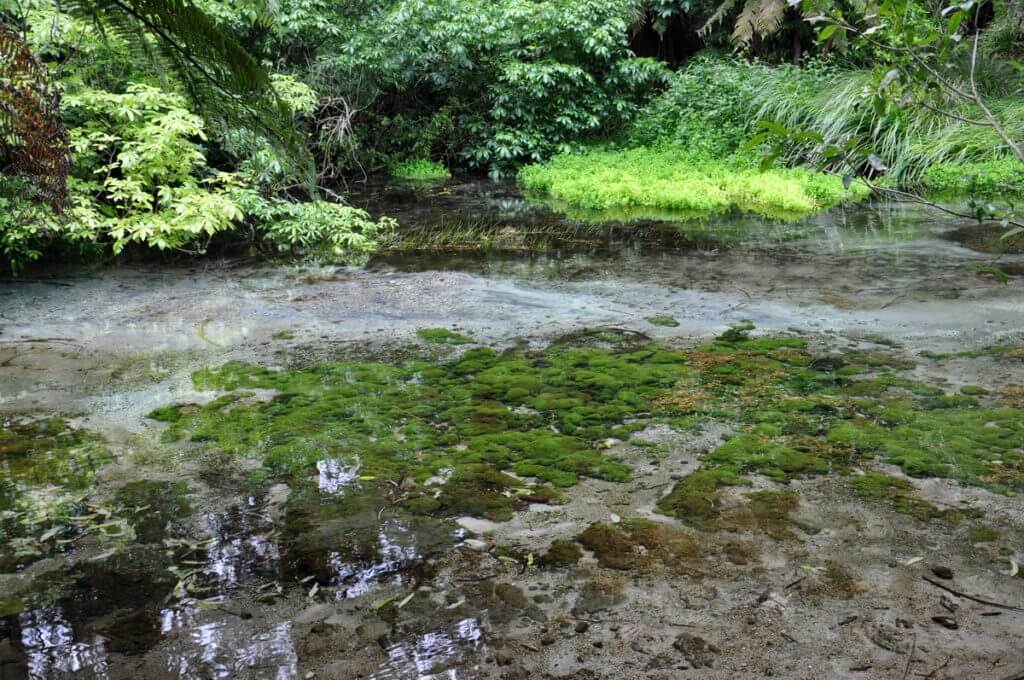 dancing sands spring, Hamurana Springs Recreation Reserve, Rotorua, New Zealand