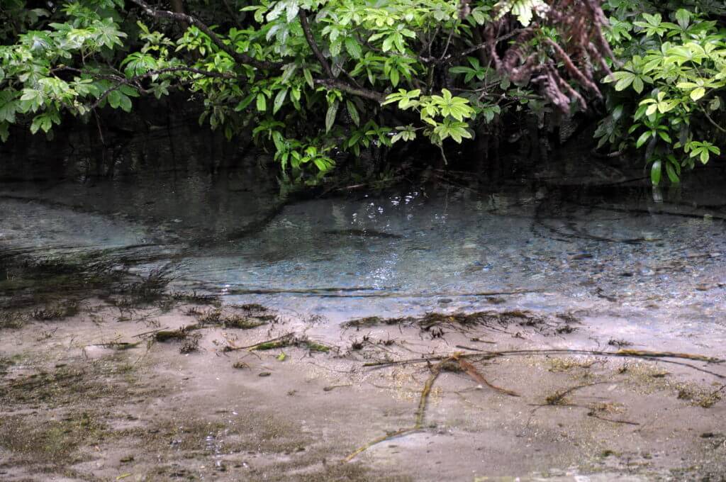 dancing sands spring, Hamurana Springs Recreation Reserve, Rotorua, New Zealand