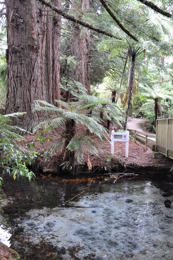 dancing sands spring, Hamurana Springs Recreation Reserve, Rotorua, New Zealand