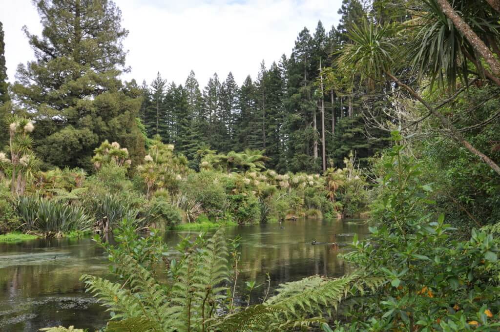 Hamurana Springs Recreation Reserve, Rotorua, New Zealand