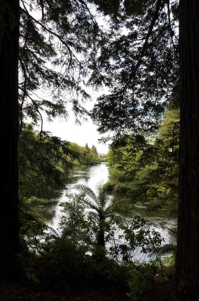 hamurana stream, Hamurana Springs Recreation Reserve, Rotorua, New Zealand