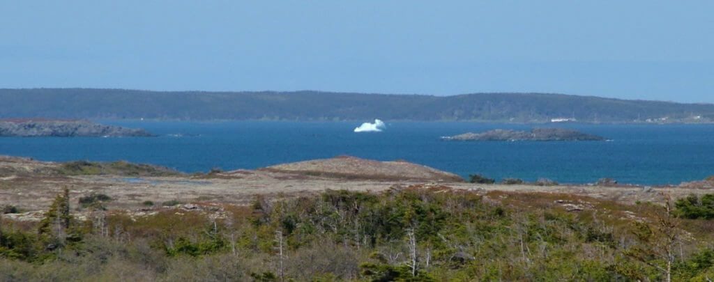 an iceberg in ship cove, newfoundland