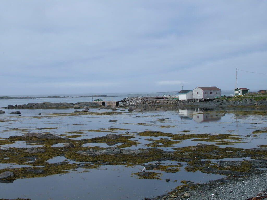 the coast in st. anthony, newfoundland