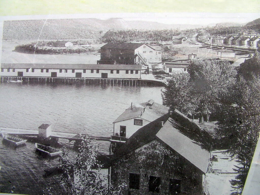 once bustling logging community of stanleyville, newfoundland