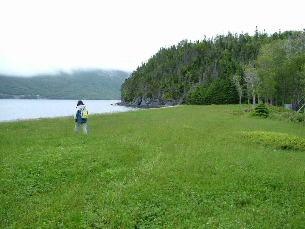 stanleyville, payne's cove, newfoundland