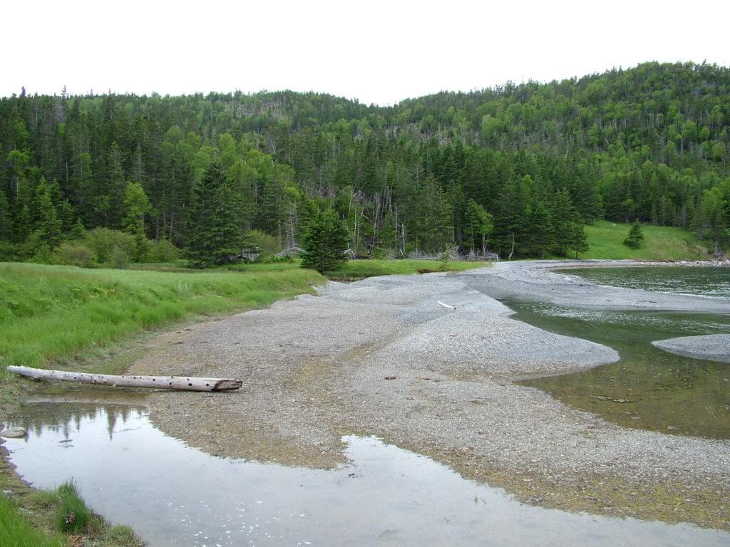 deserted logging community of stanleyville, newfoundland