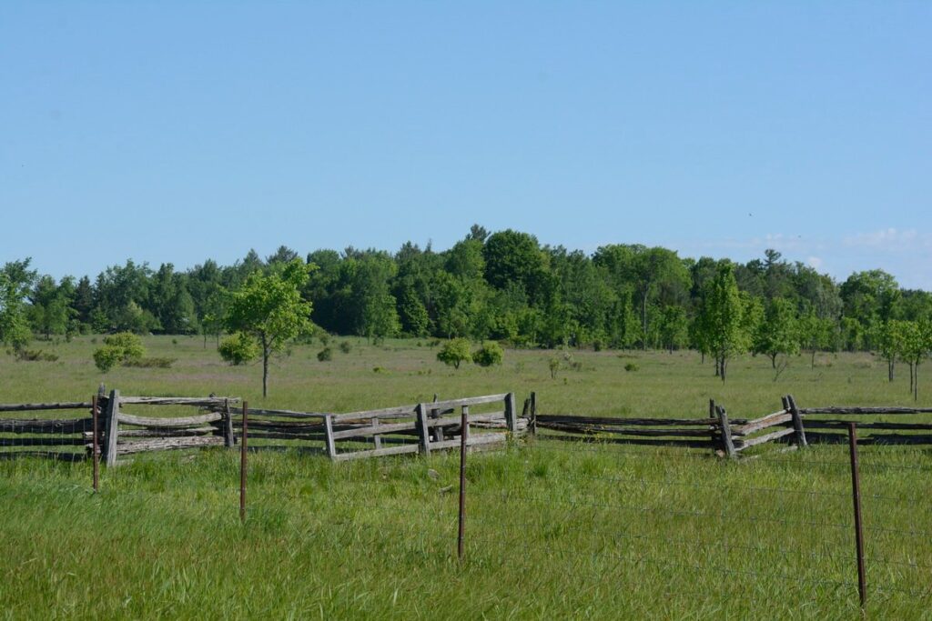 Image of a wooden fence and fields along Wylie Road, at the Carden Alvar, in Ontario, Canada.