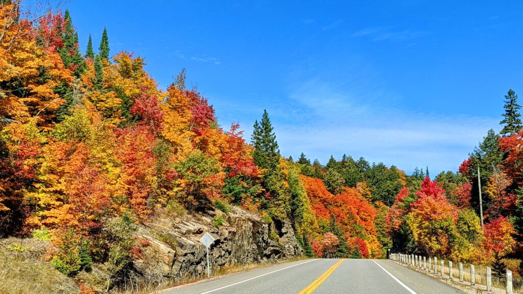 Image of fall colors along Highway 60 in Algonquin Provincial Park in Ontario, Canada.
