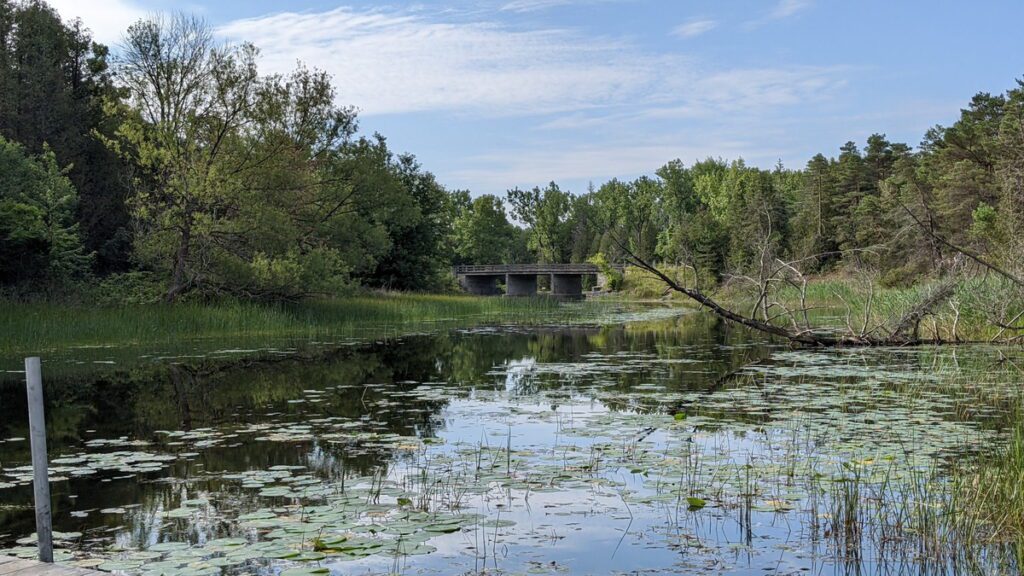 image of a bridge on the outlet river in sandbanks provincial park, ontario