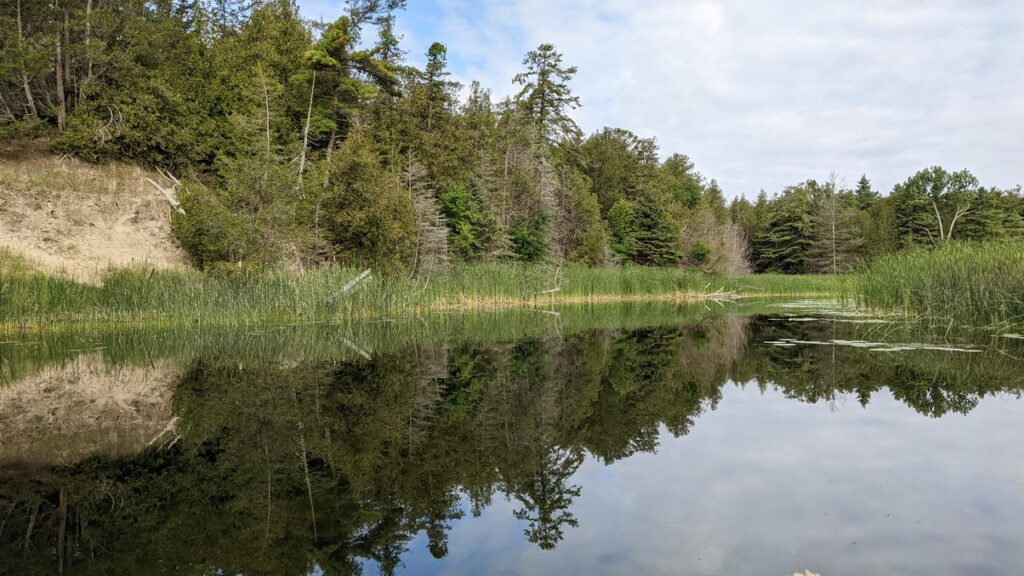 Image of trees reflected in the outlet river in sandbanks provincial park, ontario