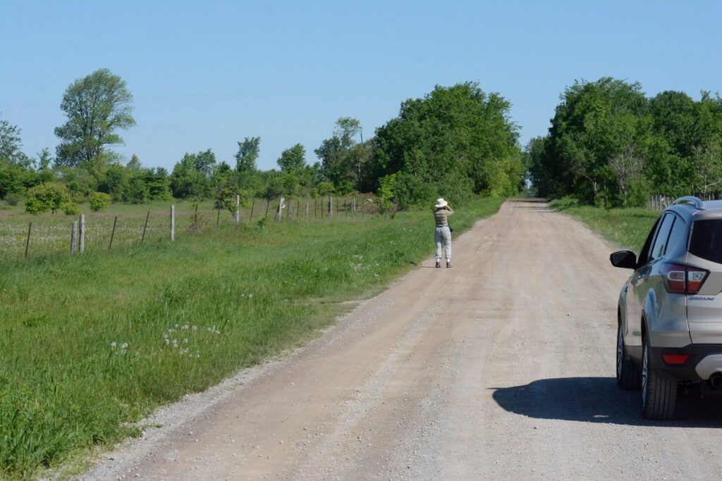 image of carden alvar in ontario, canada