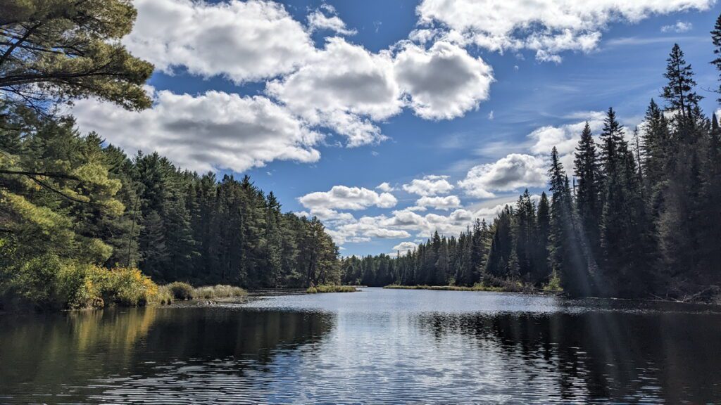 Image of Madawaska River in September in Algonquin Provincial Park.