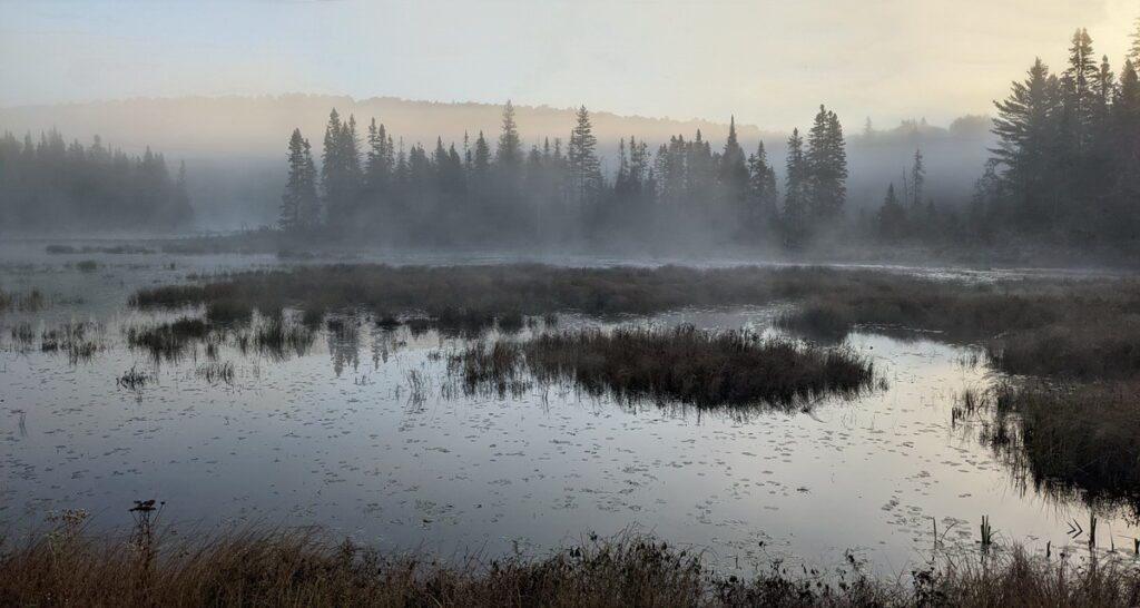 Image of early morning fog over a lake in Algonquin Provincial Park in Ontario, Canada.