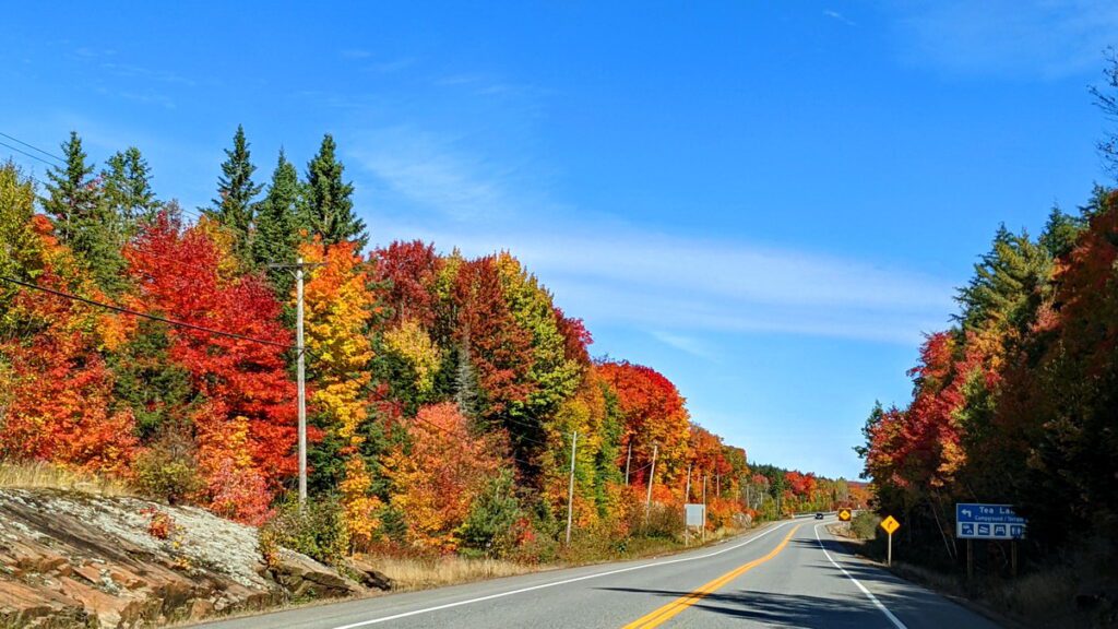 Image of fall color along highway 60 in Algonquin Provincial Park in Ontario, Canada.