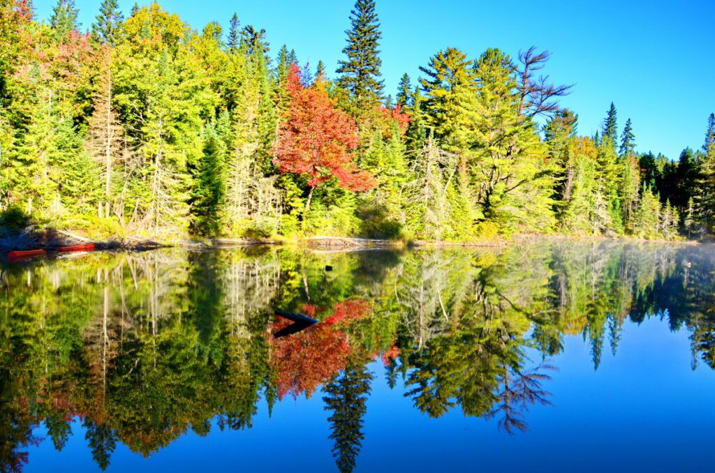 Image of fall colors at Tea Lake in Algonquin Provincial Park in Ontario, Canada.