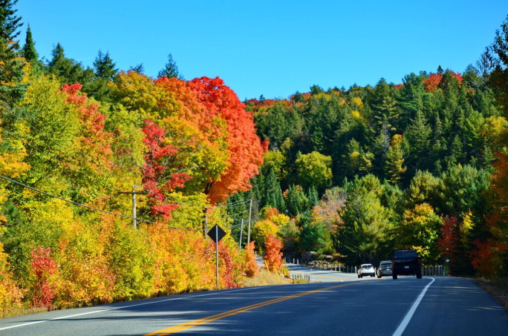 Image of the fall colors along highway 60 in Algonquin Provincial Park in Ontario, Canada.