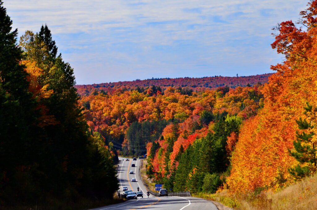 Image of the fall colors along highway 60 in Algonquin Provincial Park in Ontario, Canada.