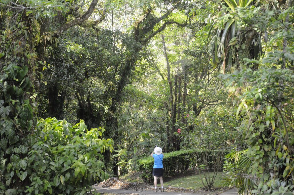 image of jean in the rainforest, arenal observatory, costa rica