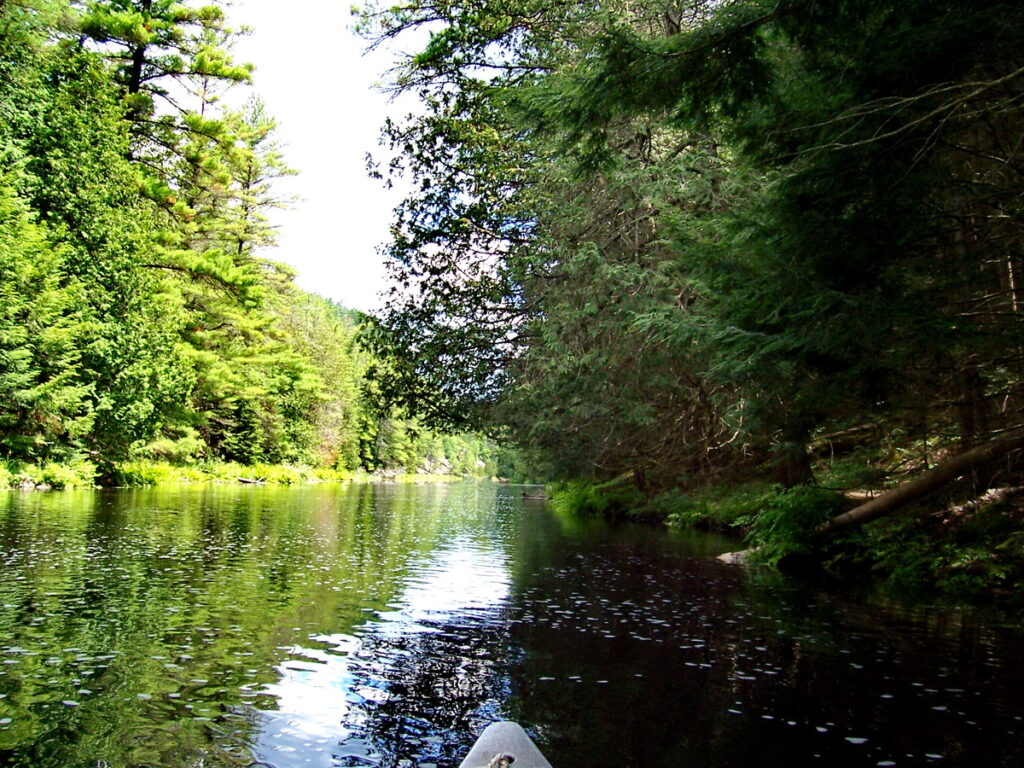 Image of Barron River in Algonquin Park, Ontario, Canada. A popular canoeing route..