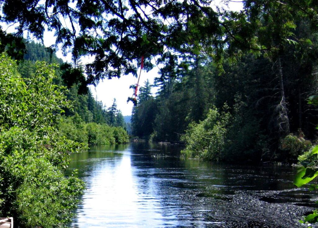 Image of Barron Canyon river in Algonquin Park, Ontario, Canada. A popular canoeing route..