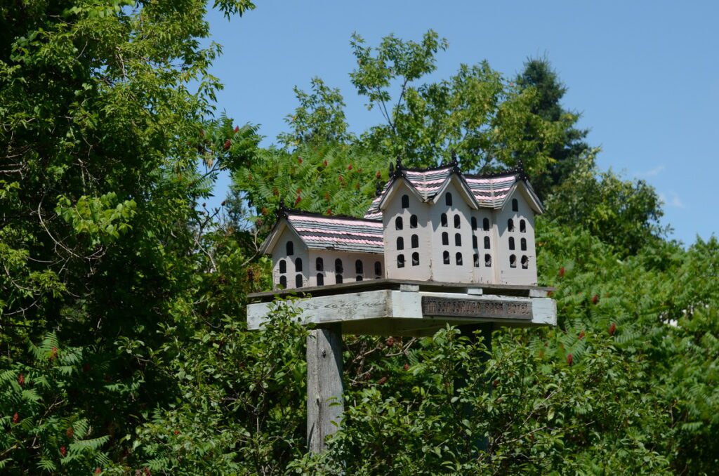 image of a birdhouse at birdhouse city, picton, prince edward county, ontario