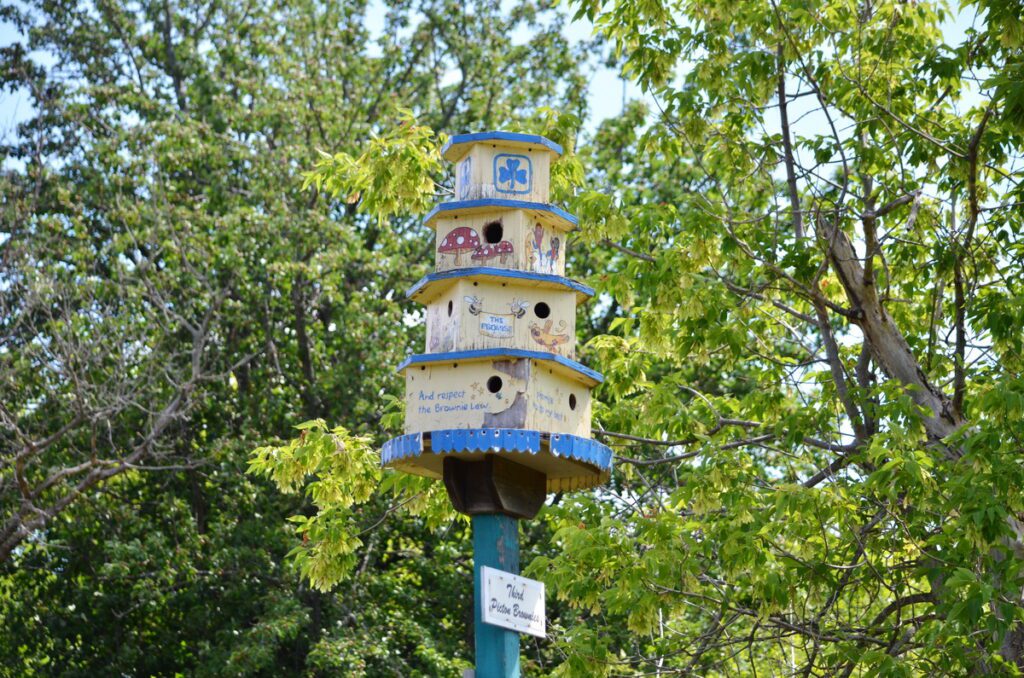 image of third picton brownies birdhouse, birdhouse city, picton